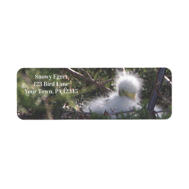 Snowy Egret Baby Bird Label Returadress Etikett (Framsidan)