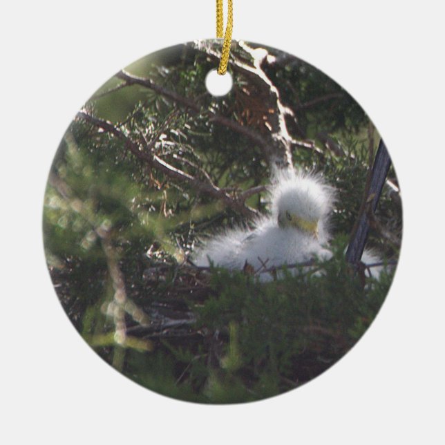 Snowy Egret Baby Bird Ornament (Framsidan)