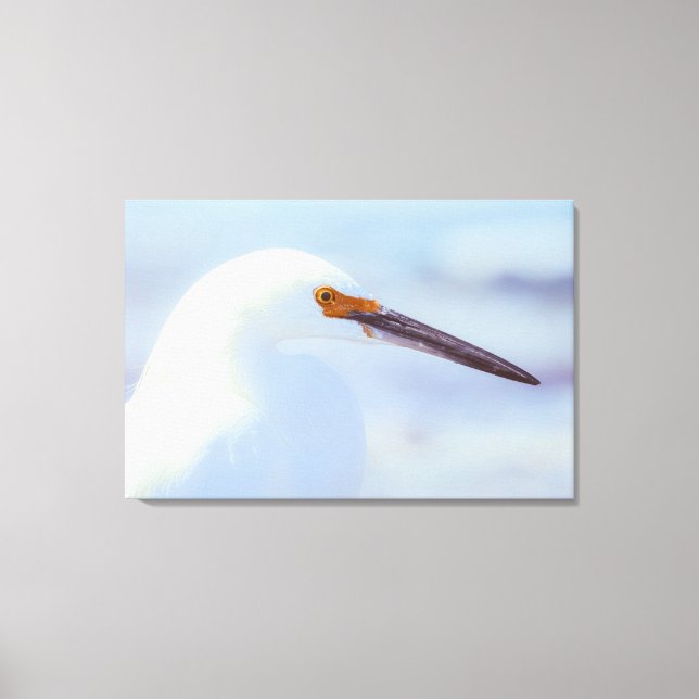 Snowy Egret Canvastryck (Framsida)