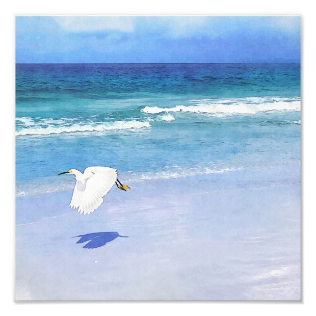 Snowy Egret Coastal Watercolor Fototryck (Framsidan)