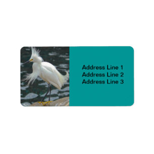 Snowy Egret-etikett Adressetikett