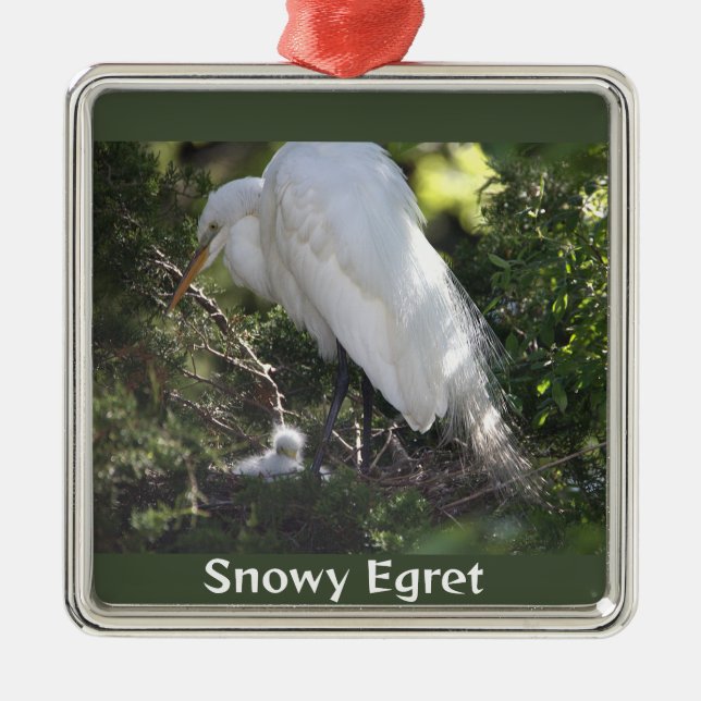 Snowy Egret med Baby Ornament (Framsidan)