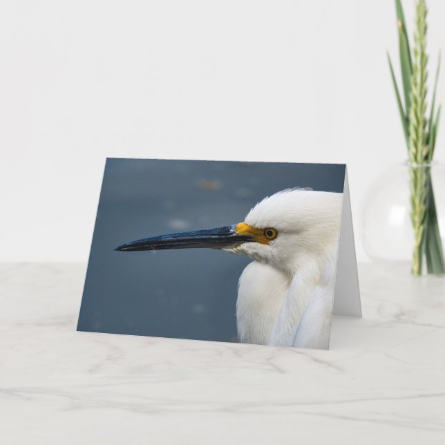 Snowy Egret Notecard Kort (Framsida)
