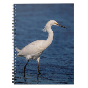Snowy Egret på North Beach Anteckningsbok