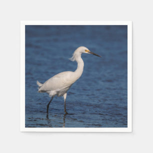 Snowy Egret på North Beach Pappersservett