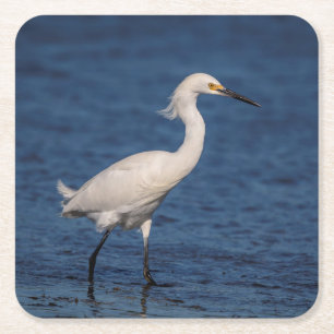 Snowy Egret på North Beach Underlägg Papper Kvadrat