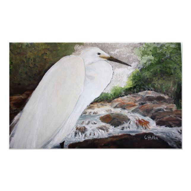 Snowy Egret Photo Print Fototryck (Framsidan)