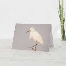 Snowy Egret Walking Greeting-kort Kort