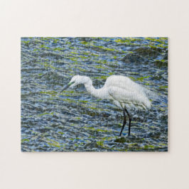Snowy Egret White Wading Bird Heron Pussel