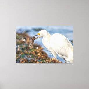 Snowy Egret with Fish Canvastryck