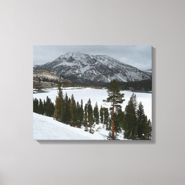 Snowy Ellery Sjö California Winter Ligcape Canvastryck (Framsida)