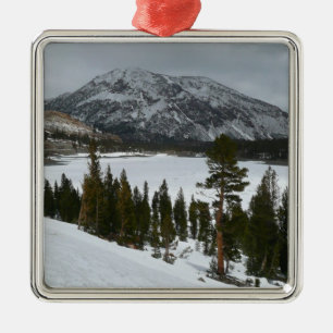 Snowy Ellery Sjö California Winter Ligcape Julgransprydnad Metall