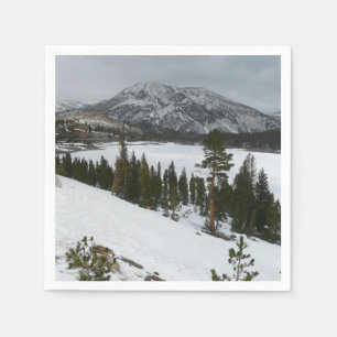 Snowy Ellery Sjö California Winter Ligcape Pappersservett