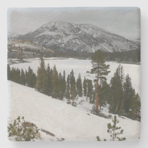 Snowy Ellery Sjö California Winter Ligcape Stenunderlägg