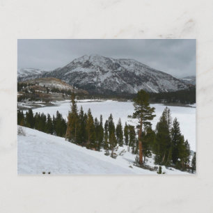Snowy Ellery Sjö California Winter Ligcape Vykort
