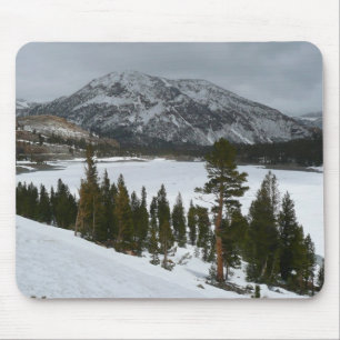 Snowy Ellery Sjö California Winter Photography Musmatta