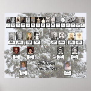 Snowy Evergreen 4 Generation Family Träd Poster