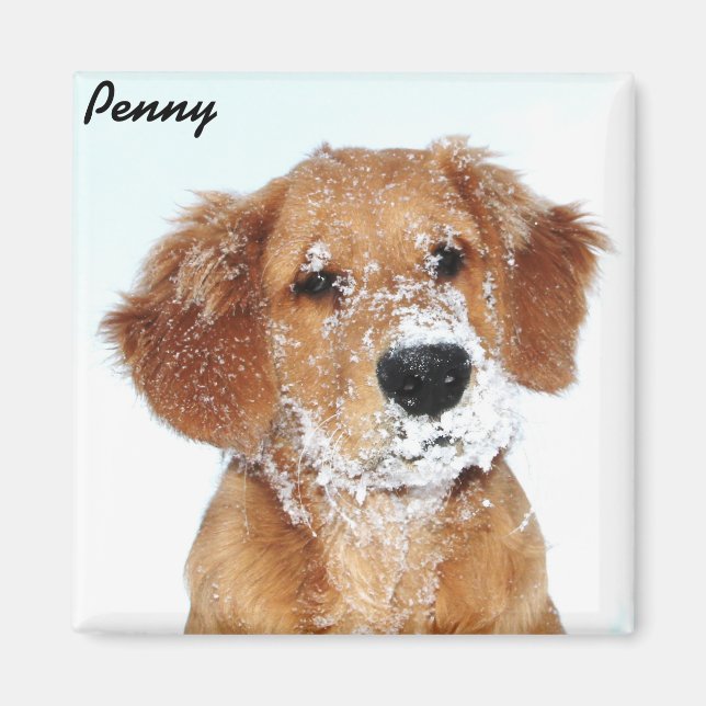 Snowy face Penny Magnet (Framsidan)