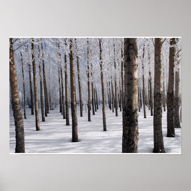 Snowy Fairy Tale Forest Poster (Framsidan)