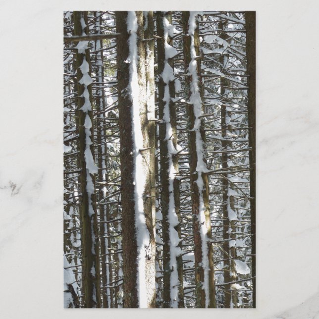 Snowy Fir Träd (Framsida)