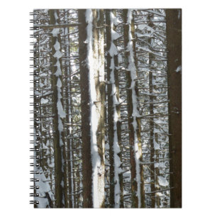 Snowy Fir Träd Anteckningsbok
