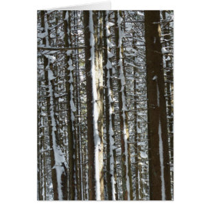 Snowy Fir Träd Hälsningskort