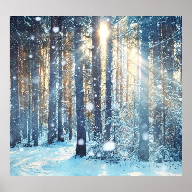 Snowy Forest Frosty Winter Scene Poster (Framsidan)