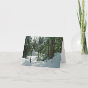 Snowy Forest-julkort Mt Washington NH Kort