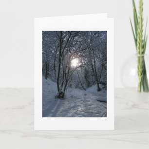 Snowy Forest Trail Kort
