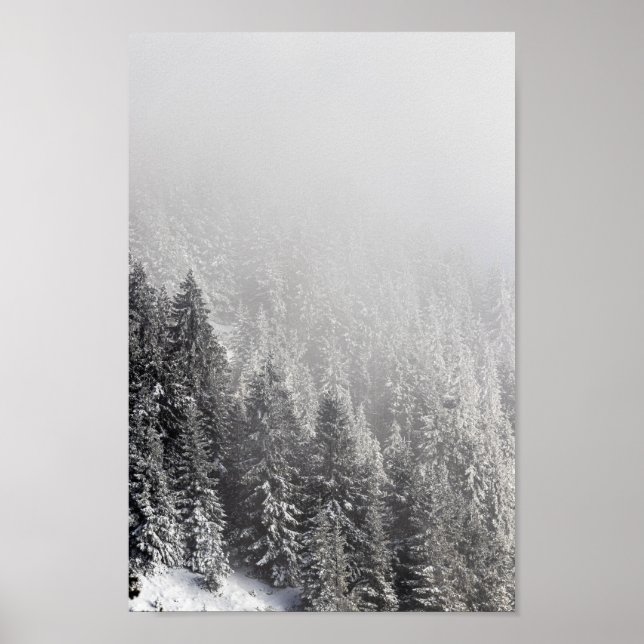 Snowy frö-skog inslagen i dimma poster (Framsidan)