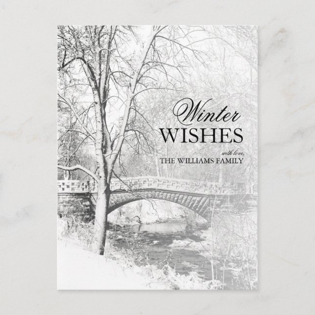 Snowy Garfield Park i Black and White Vykort (Framsida)