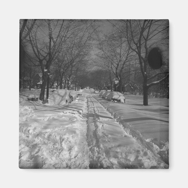 Snowy-gatuadress Magnet (Framsidan)