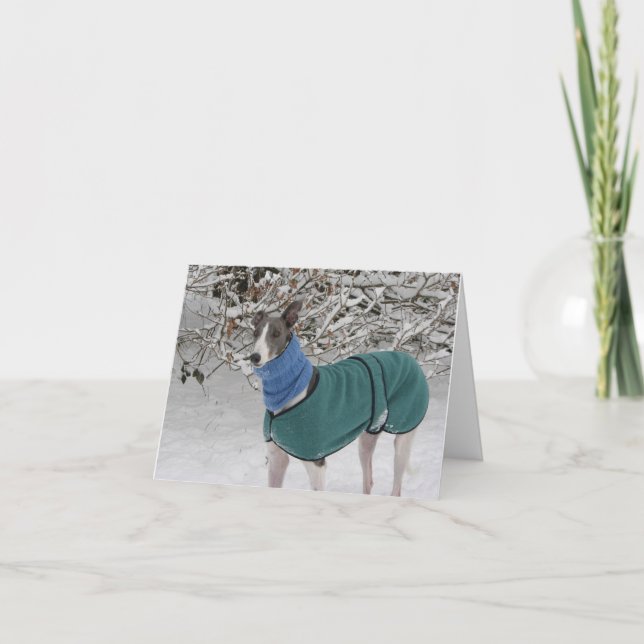 Snowy Girl: Greyhound-julkort Helgkort (Framsida)