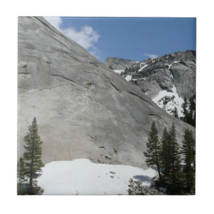 Snowy Granite Domes I i Yosemite nationalpark Kakelplatta