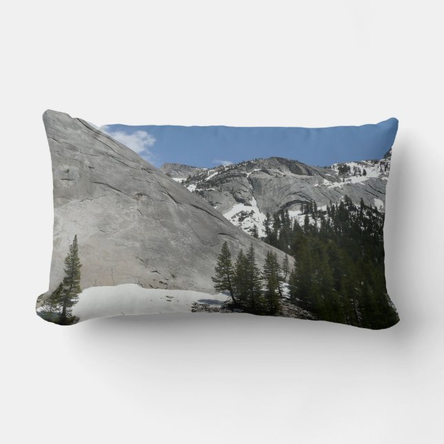 Snowy Granite Domes I i Yosemite nationalpark Lumbarkudde (Framsida)
