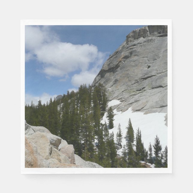 Snowy Granite Domes II Yosemite nationalpark Pappersservett (Framsidan)