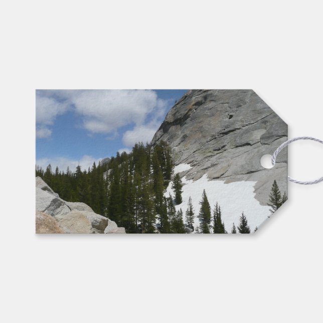 Snowy Granite Domes II Yosemite nationalpark Presentetikett (Framsidan (Horisontell))