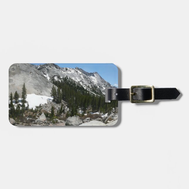 Snowy Granite Domes Panorama i Yosemite Bagagebricka (Horisontell Framsida)