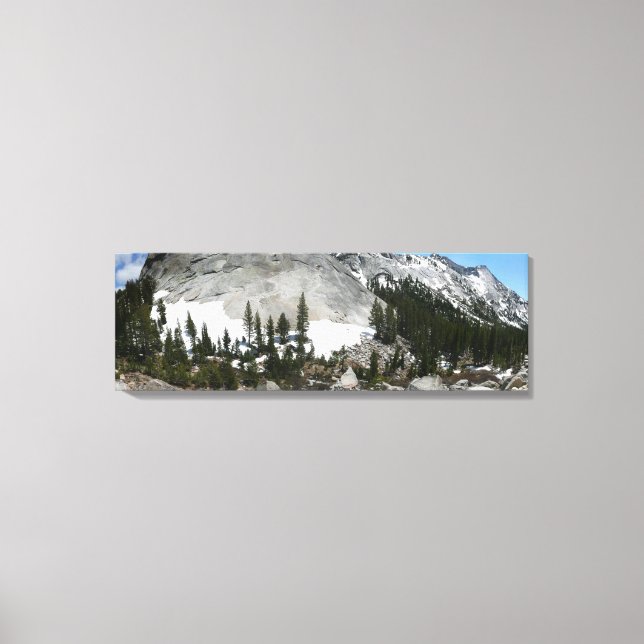 Snowy Granite Domes Panorama i Yosemite Canvastryck (Framsida)