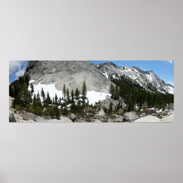 Snowy Granite Domes Panorama i Yosemite Poster (Framsidan)