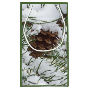 Snowy Gräs Cone I Winter Nature Photogratography