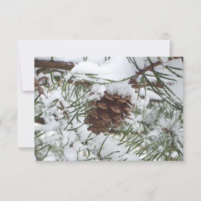 Snowy Gräs Cone I Winter Nature Photogratography (Framsida)
