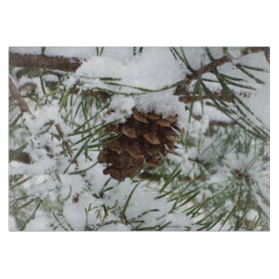 Snowy Gräs Cone I Winter Nature Photogratography
