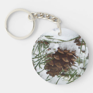 Snowy Gräs Cone I Winter Nature Photogratography