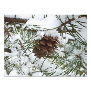 Snowy Gräs Cone I Winter Nature Photogratography Fototryck