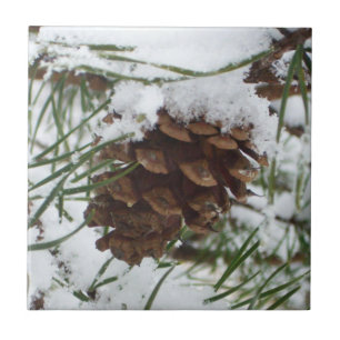 Snowy Gräs Cone I Winter Nature Photogratography Kakelplatta