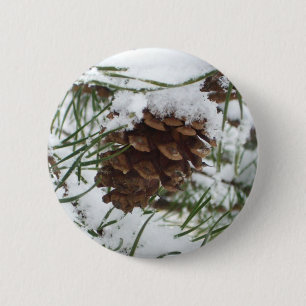 Snowy Gräs Cone I Winter Nature Photogratography Knapp
