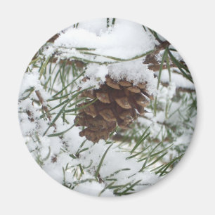 Snowy Gräs Cone I Winter Nature Photogratography Magnet