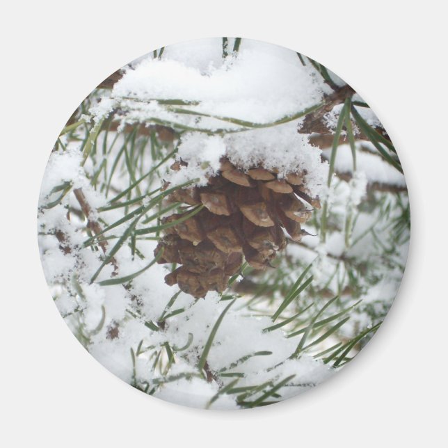 Snowy Gräs Cone I Winter Nature Photogratography Magnet (Framsidan)