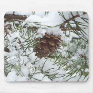 Snowy Gräs Cone I Winter Nature Photogratography Musmatta